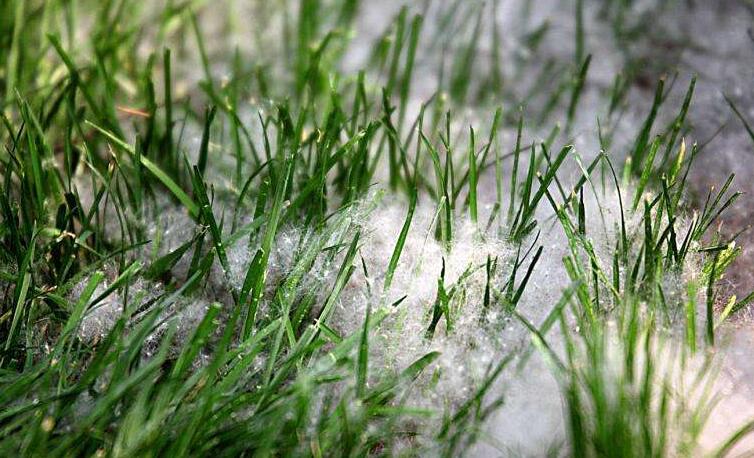 冬季將至，如何除去人造草皮中的冰雪？鉆石地為您支招